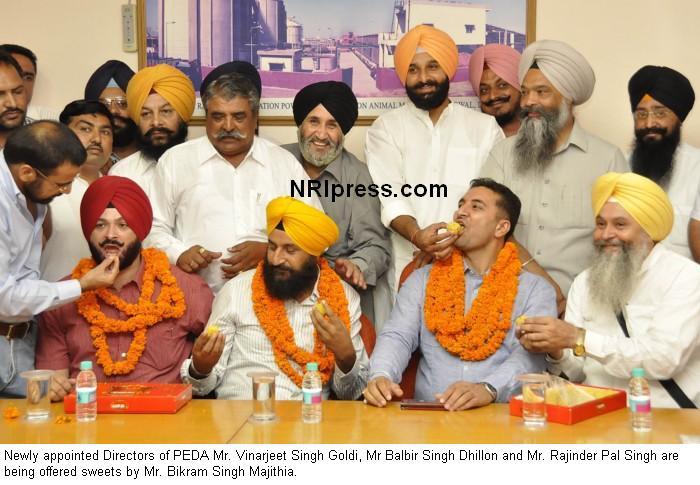 Peda Directors Photos